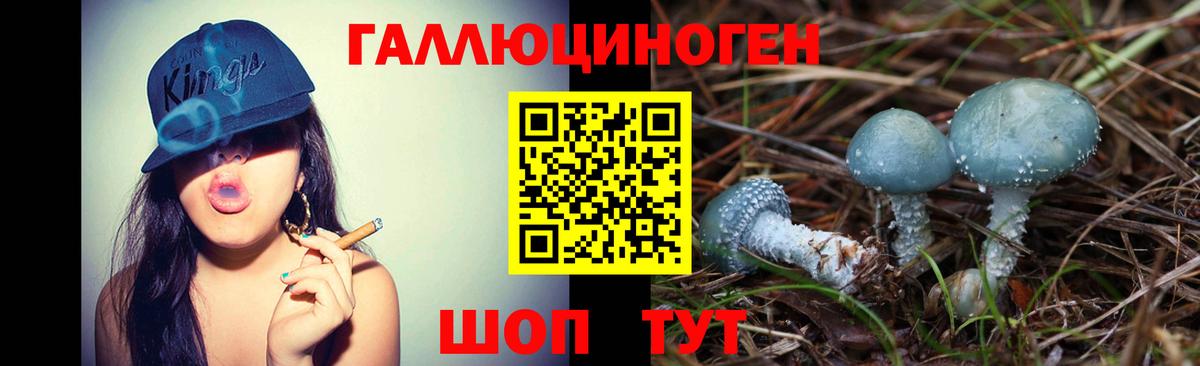 Галлюциногенные грибы Psilocybine cubensis  наркотики  Еманжелинск  Псилоцибиновые грибы Psilocybe  Вход с VPN 
